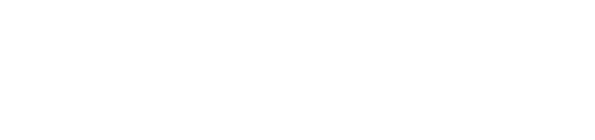 Log Ninja logo